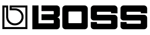 Boss Mexico