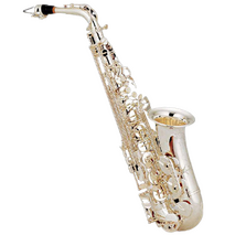Saxofon Alto Eb Niquelado Mate Cas-200Mn Century