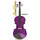Violin Estudiante 4/4 Purpura C/ Estuche Pearl River