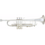 Trompeta Challenger I B &S BS3137-2-0W