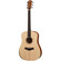 Guitarra Taylor Academy 10e