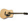 Guitarra Acustica Epiphone DR-100 natural