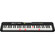 TECLADO CASIO PORTATIL    LK-S250 C/ELI