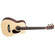 Guitarra Electroacustica Martin 11LX1RE