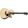 Guitarra Premium Taylor 314CE