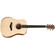 Guitarra Taylor Academy 10e