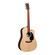 Guitarra Electroacústica Martin DC-X2E Rosewood