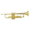 Trompeta Doble Poste Laqueada Style Vincent Bach 4L Century