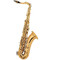 Saxofon Tenor Bb Laqueado Cts-100L Century