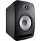 BAFLE TANNOY MONITOR REVEAL 802