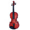 Violin Estudiante 4/4 Solid Spruce Amadeuscellini