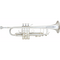 Trompeta Challenger I B &S BS3137-2-0W